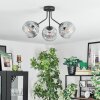 Ripoll ceiling light, globe light clear, Smoke-coloured, 3-light sources