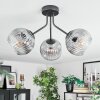 Ripoll ceiling light, globe light clear, Smoke-coloured, 3-light sources