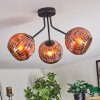 Ripoll ceiling light, globe light coppery, 3-light sources