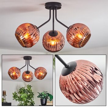 Ripoll ceiling light, globe light coppery, 3-light sources