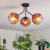Ripoll ceiling light, globe light clear, coppery, 3-light sources
