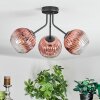 Ripoll ceiling light, globe light clear, coppery, 3-light sources