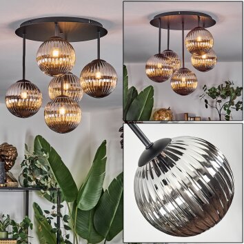 Chehalis ceiling light, globe light Smoke-coloured, 5-light sources