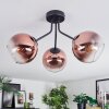 Koyoto ceiling light, globe light clear, coppery, 3-light sources