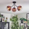 Koyoto ceiling light, globe light clear, coppery, 3-light sources
