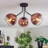 Koyoto ceiling light, globe light clear, coppery, 3-light sources