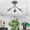 Koyoto ceiling light, globe light clear, 3-light sources