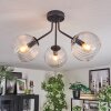 Koyoto ceiling light, globe light clear, 3-light sources