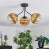 Koyoto ceiling light, globe light gold, clear, 3-light sources