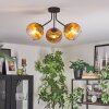 Koyoto ceiling light, globe light gold, clear, 3-light sources