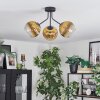 Koyoto ceiling light, globe light gold, clear, 3-light sources