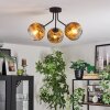Ripoll ceiling light, globe light gold, clear, 3-light sources