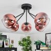 Koyoto ceiling light, globe light 52 cm clear, coppery, 5-light sources