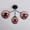 Ripoll ceiling light, globe light coppery, 3-light sources
