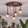 Chehalis ceiling light, globe light Amber, clear, Smoke-coloured, 5-light sources