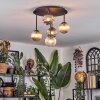 Chehalis ceiling light, globe light Amber, clear, Smoke-coloured, 5-light sources
