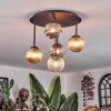 Chehalis ceiling light, globe light Amber, clear, Smoke-coloured, 5-light sources