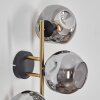 Ripoll globe light, wall light gold, black, 3-light sources