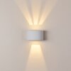 WINDHOEK Outdoor Wall Light LED white, 2-light sources