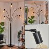 Codecreo floor lamp black, 5-light sources