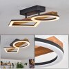 Tavon ceiling light LED Dark wood, black, 1-light source