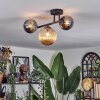 Chehalis ceiling light, globe light Amber, chrome, Smoke-coloured, 3-light sources