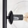 Koyoto floor lamp 31 cm clear, 5-light sources