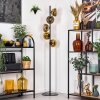 Koyoto floor lamp 31 cm gold, clear, 5-light sources