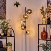 Ripoll floor lamp Amber, clear, Smoke-coloured, 5-light sources