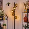 Ripoll floor lamp gold, clear, 5-light sources