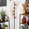 Koyoto floor lamp 31 cm Amber, clear, 5-light sources