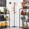 Koyoto floor lamp 31 cm Amber, clear, 5-light sources