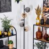 Ripoll floor lamp Amber, clear, Smoke-coloured, 5-light sources