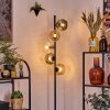 Ripoll floor lamp Amber, clear, Smoke-coloured, 5-light sources
