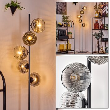 Ripoll floor lamp chrome, clear, Smoke-coloured, 5-light sources