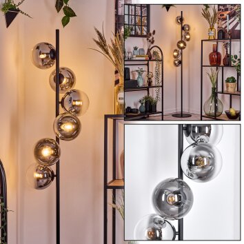 Gastor floor lamp chrome, clear, Smoke-coloured, 6-light sources