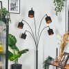 Alsen floor lamp black, 5-light sources
