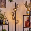 Ripoll floor lamp clear, Smoke-coloured, 5-light sources
