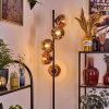 Ripoll floor lamp clear, coppery, 5-light sources