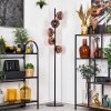 Ripoll floor lamp clear, coppery, 5-light sources