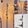 Ripoll floor lamp clear, 5-light sources
