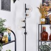 Ripoll floor lamp clear, 5-light sources