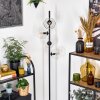 Ripoll floor lamp clear, 4-light sources