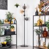 Ripoll floor lamp Amber, clear, Smoke-coloured, 4-light sources