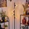 Koyoto floor lamp 31 cm clear, 5-light sources