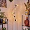 Koyoto floor lamp 31 cm clear, 5-light sources