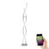 Paul Neuhaus Q-MALINA Floor Lamp LED stainless steel, 2-light sources, Remote control