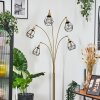 Yaak floor lamp brass, black, 5-light sources