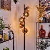 Koyoto floor lamp 31 cm clear, coppery, 5-light sources