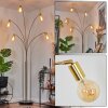 Codecreo floor lamp brass, black, 5-light sources
